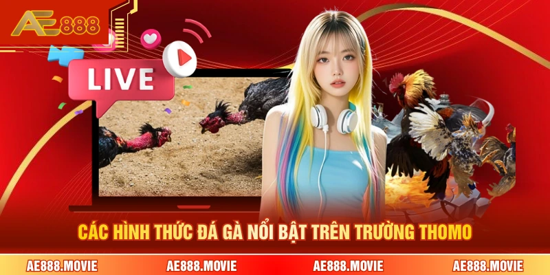 Các hình thức đá gà nổi bật trên trường Thomo 