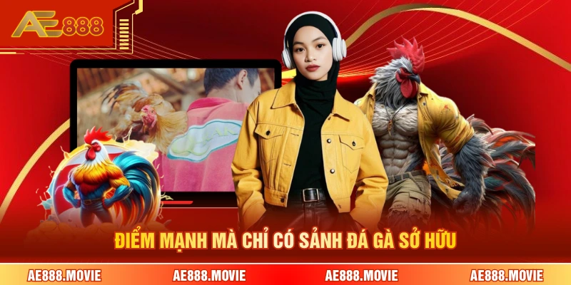 Điểm mạnh mà chỉ có sảnh đá gà sở hữu 