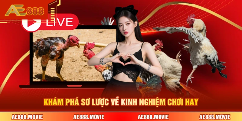 Khám phá sơ lược về kinh nghiệm chơi hay